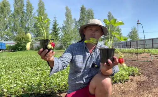 Превью видео