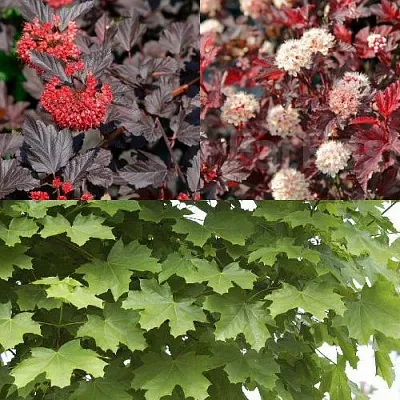 Комплект ОСЕННИЙ КОСТЕР в Красноярске