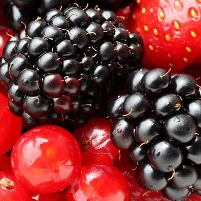 Ежевика  Ежевика в Красноярске