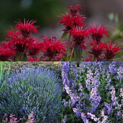 Комплект АРОМАТНЫЙ ЧАЙ в Красноярске