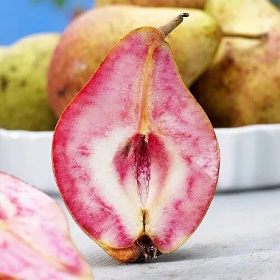 Груша БЛЮТБЕРН в Красноярске