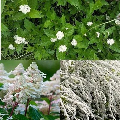 Комплект СКАНДИНАВСКИЙ СТИЛЬ в Красноярске