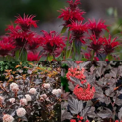 Комплект ОГНЕННЫЙ МИКС в Красноярске