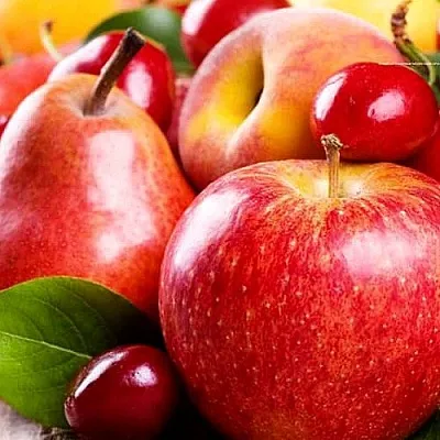 Плодовые деревья в Красноярске