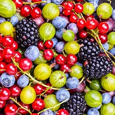 СУПЕР НОВИНКИ  СУПЕР НОВИНКИ в Красноярске