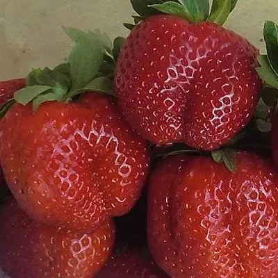 Клубника ДЕСТЕНИ  Клубника ДЕСТЕНИ в Красноярске