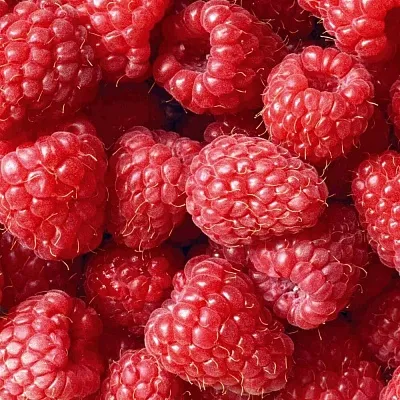 Летняя  Летняя в Красноярске