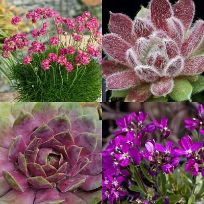 Комплект МИНИ САД в Красноярске