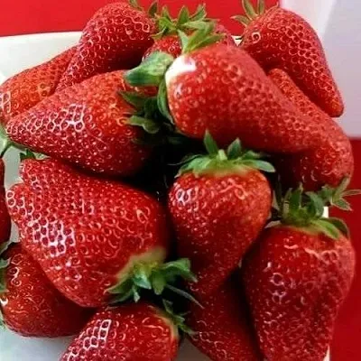 Клубника БРИЛЛА  Клубника БРИЛЛА в Красноярске