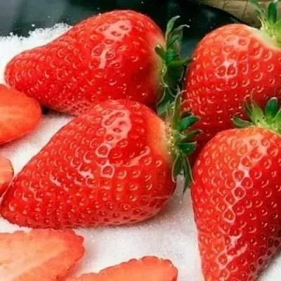 Клубника АЛЬБА  Клубника АЛЬБА в Красноярске